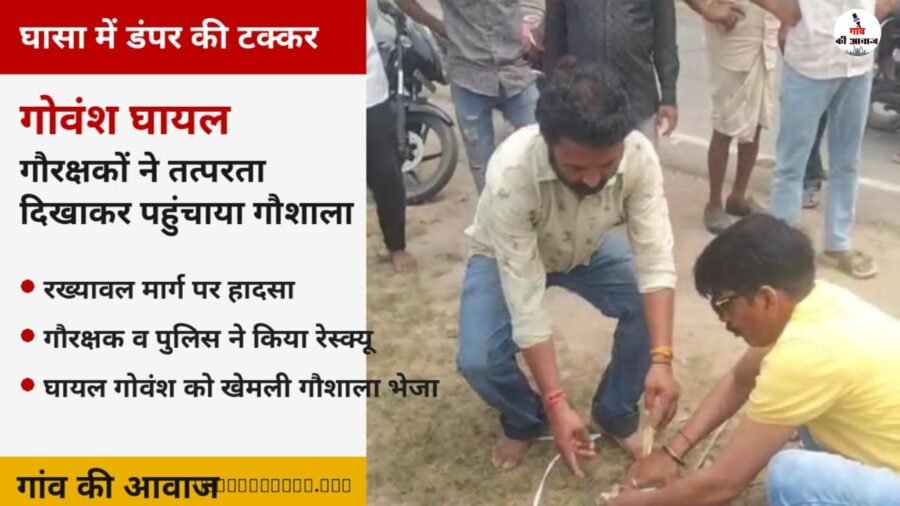 घासा में डंपर की टक्कर से गोवंश घायल, गौरक्षकों ने तत्परता दिखाकर पहुंचाया गौशाला