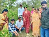 हरियालो राजस्थान अभियान के तहत विद्यालय में रोपे 100 पौधे