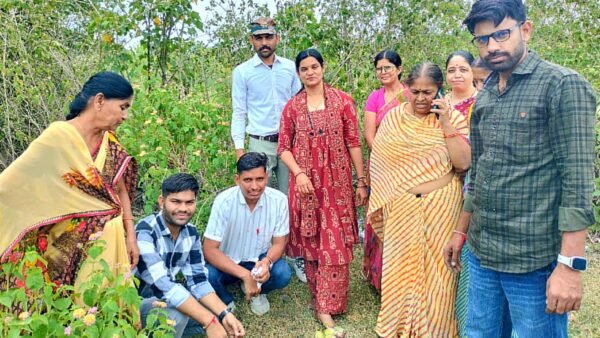 हरियालो राजस्थान अभियान के तहत विद्यालय में रोपे 100 पौधे